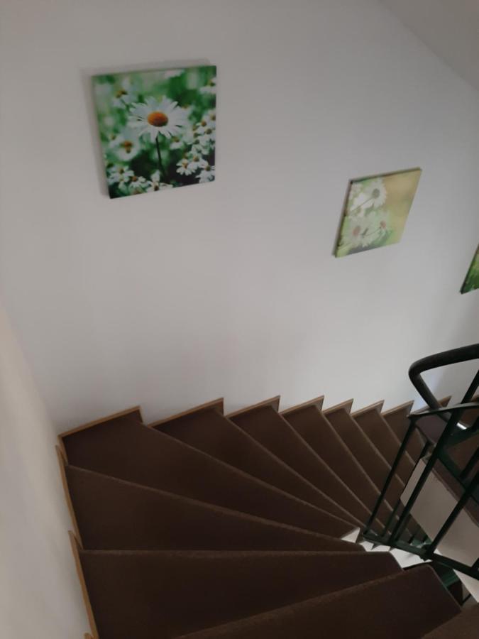 Hotel Landgasthof Frankenstern 괴스바인슈타인 외부 사진